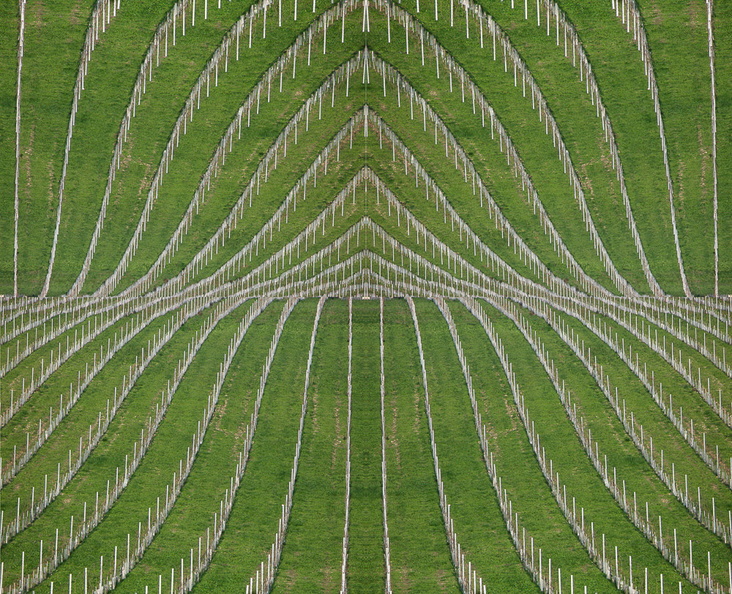 Désorientation