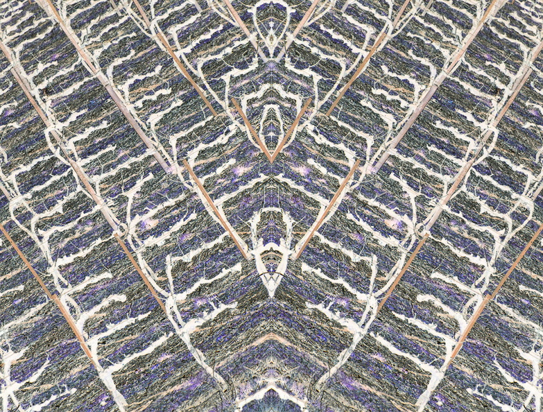 Chevrons