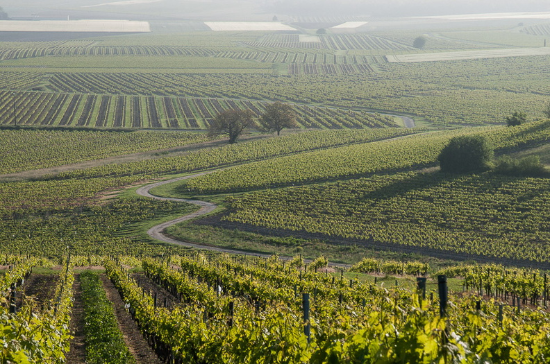 Courbes égarées, printemps