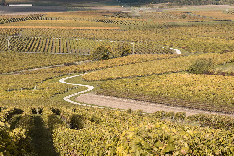 Courbes égarées, automne