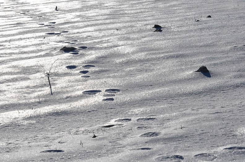 Traversée solitaire