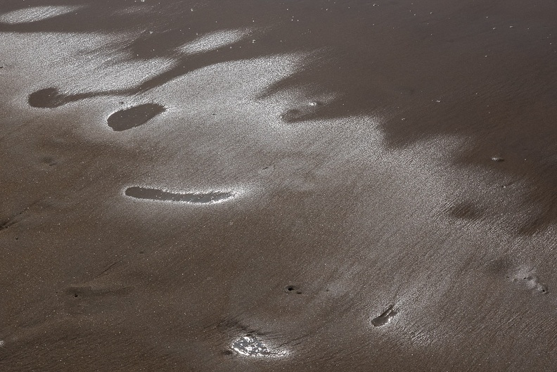 Quand la mer se retire