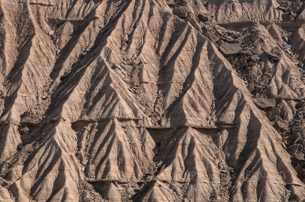 Las Bardenas_0023-2.jpg