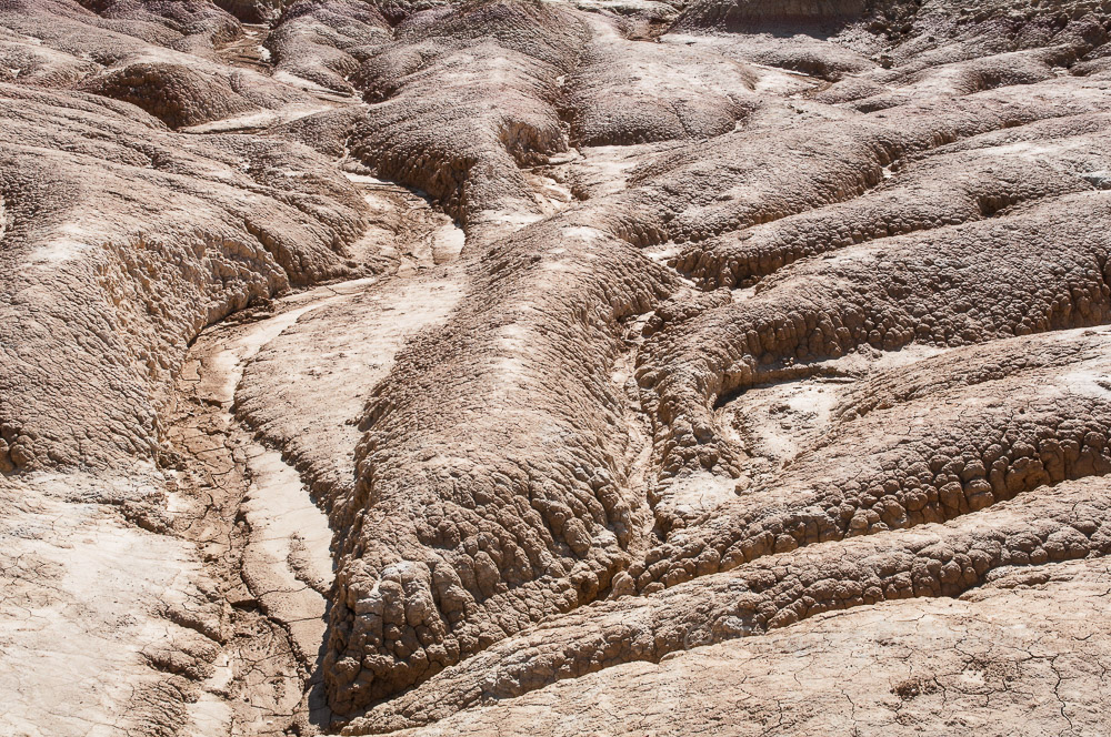 Las Bardenas_0059-2.jpg